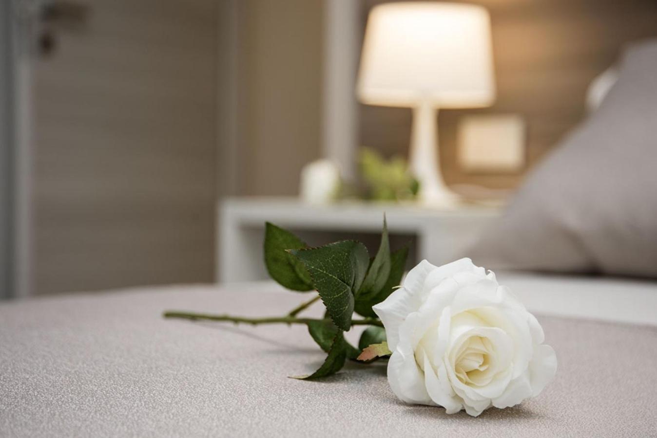 Camelot Appartamenti - Business E Holiday San Martino Buon Albergo Exterior foto